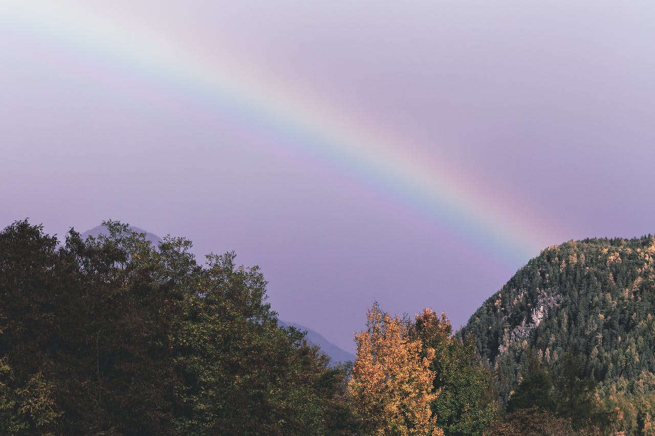framing your future