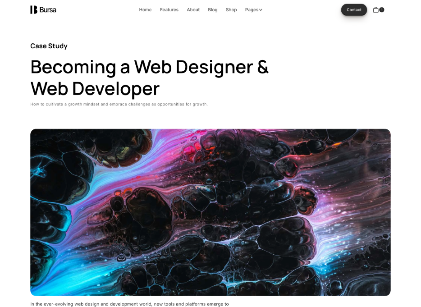 Saas Webflow Template - Bursa - Designed by Azwedo.com and Wedoflow.com