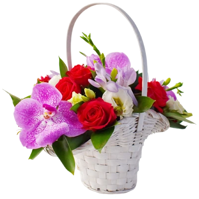 Category Image