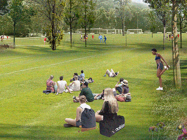 Menschen entspannen auf einer großen Rasenfläche im Park. Eine Person dehnt sich an einem Baum, im Hintergrund wird Fussball gespielt.