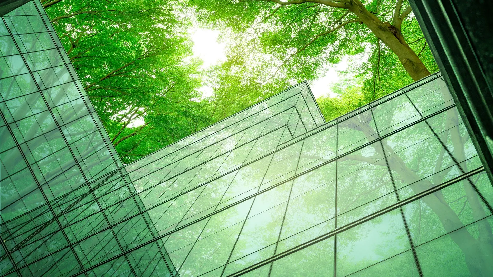 Modern glass building reflecting green tree canopy under bright daylight.