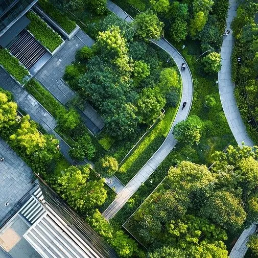 Aerial view of a green urban park with curved pathways and dense tree coverage.