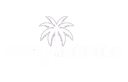 This logo send you to home page
