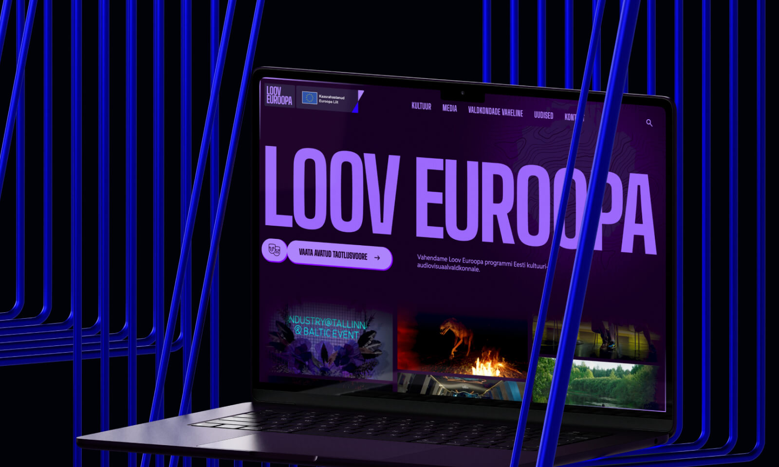 Loov Euroopa veebidiain ja Webflow veebiarendus