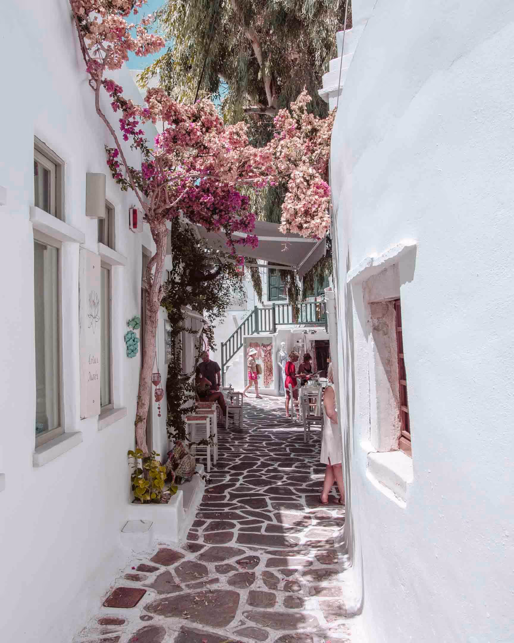 Narrow cobblestone street lined with whitewashed buildings, pink bougainvillea overhead, and people walking and sitting at outdoor tables.