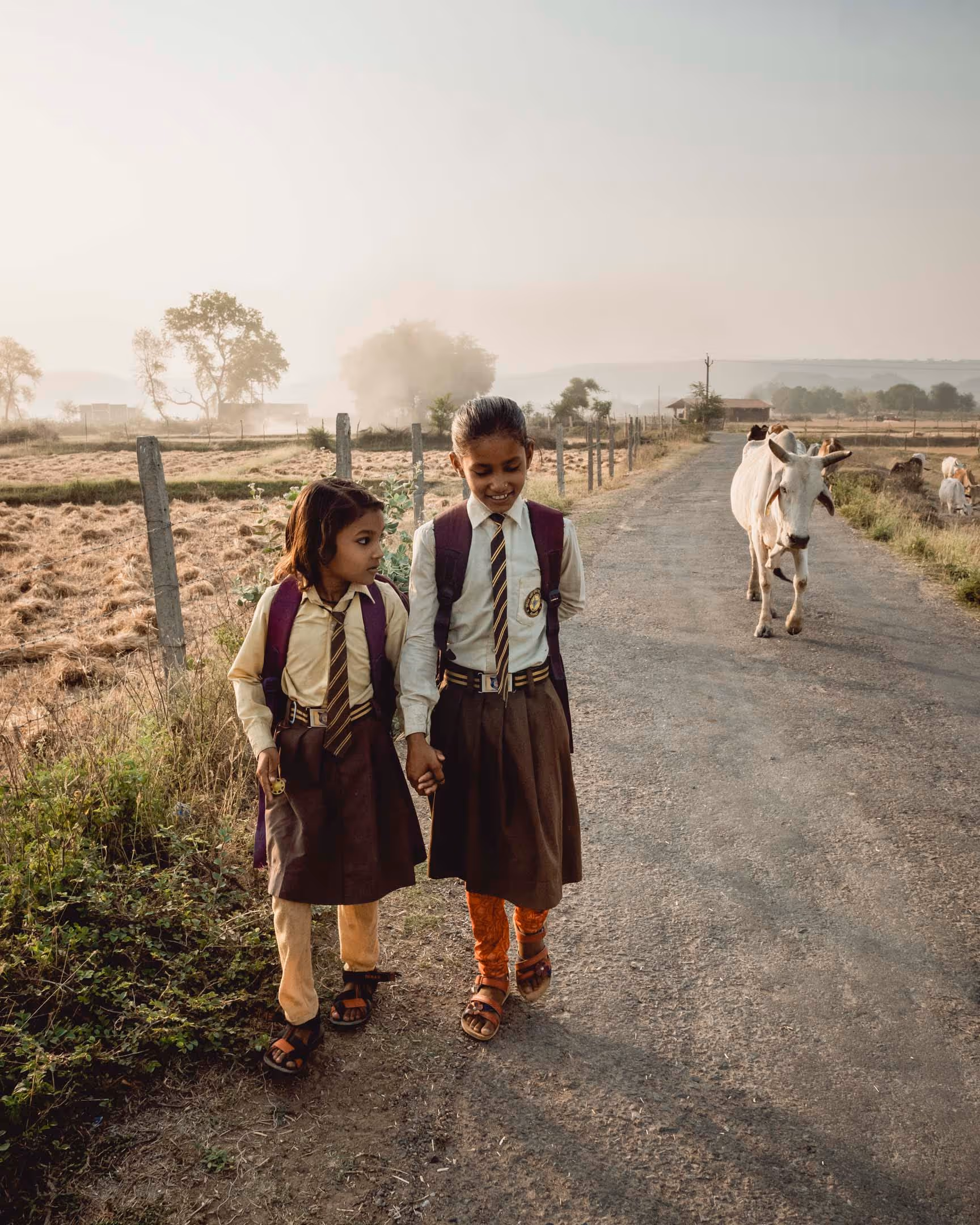 Two schoolgirls in uniforms holding hands walking on a rural road with cows nearby during a sunny day.