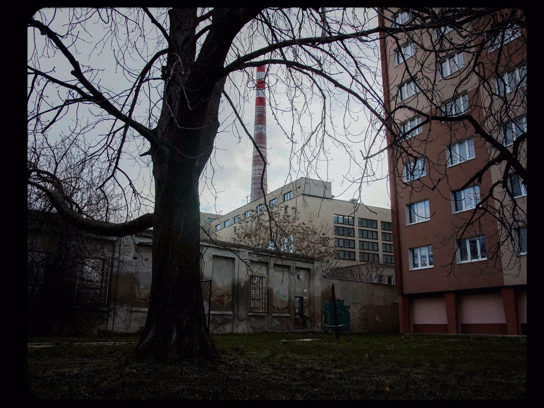Bare-branched tree in front of weathered buildings with an industrial smokestack in the background under a cloudy sky.