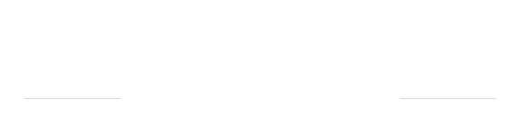 Pan Am Brands wordmark logo.