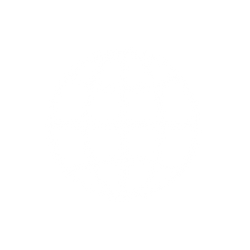White globe icon with latitude and longitude lines on transparent background.