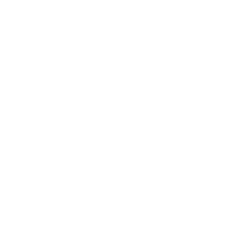 White luggage icon with a plane symbol on a black background.