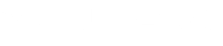 Pan Am Flight logo with a globe symbol on the left and text 'PAN AM FLIGHT'.