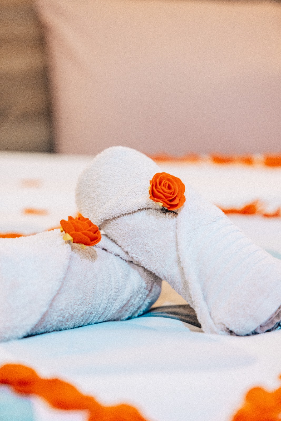 Le Mérac - Au cœur d’Ax