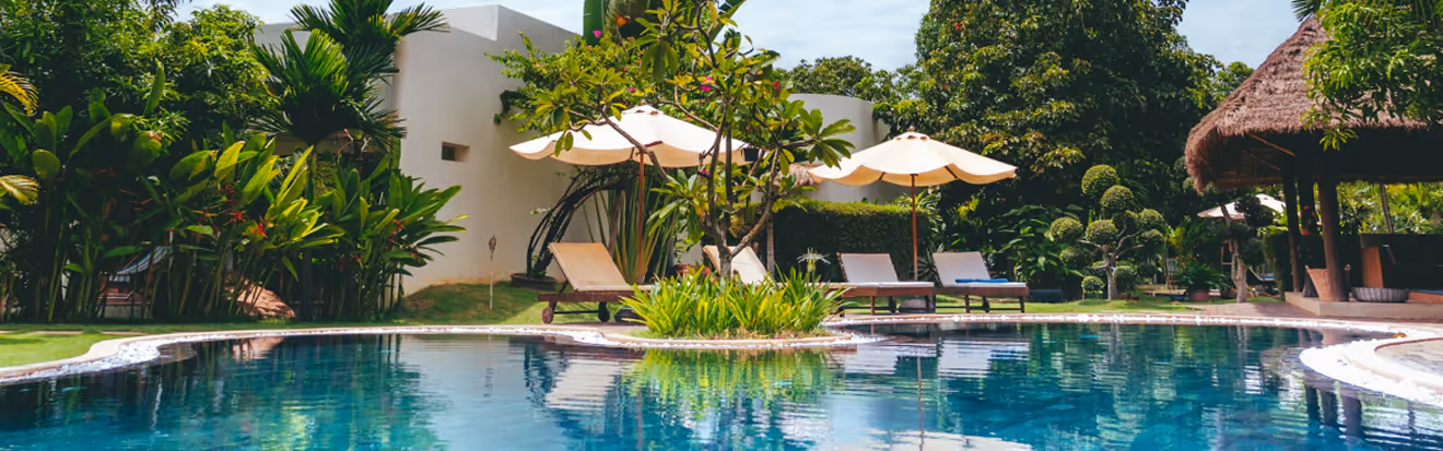 Tropical Pool Picture