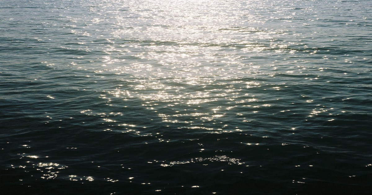 Curated visual reference: Picture Idea: Solara Society