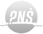 Logo z białymi literami i symbolami '?N$' na szarym okrągłym tle z linią pod spodem.