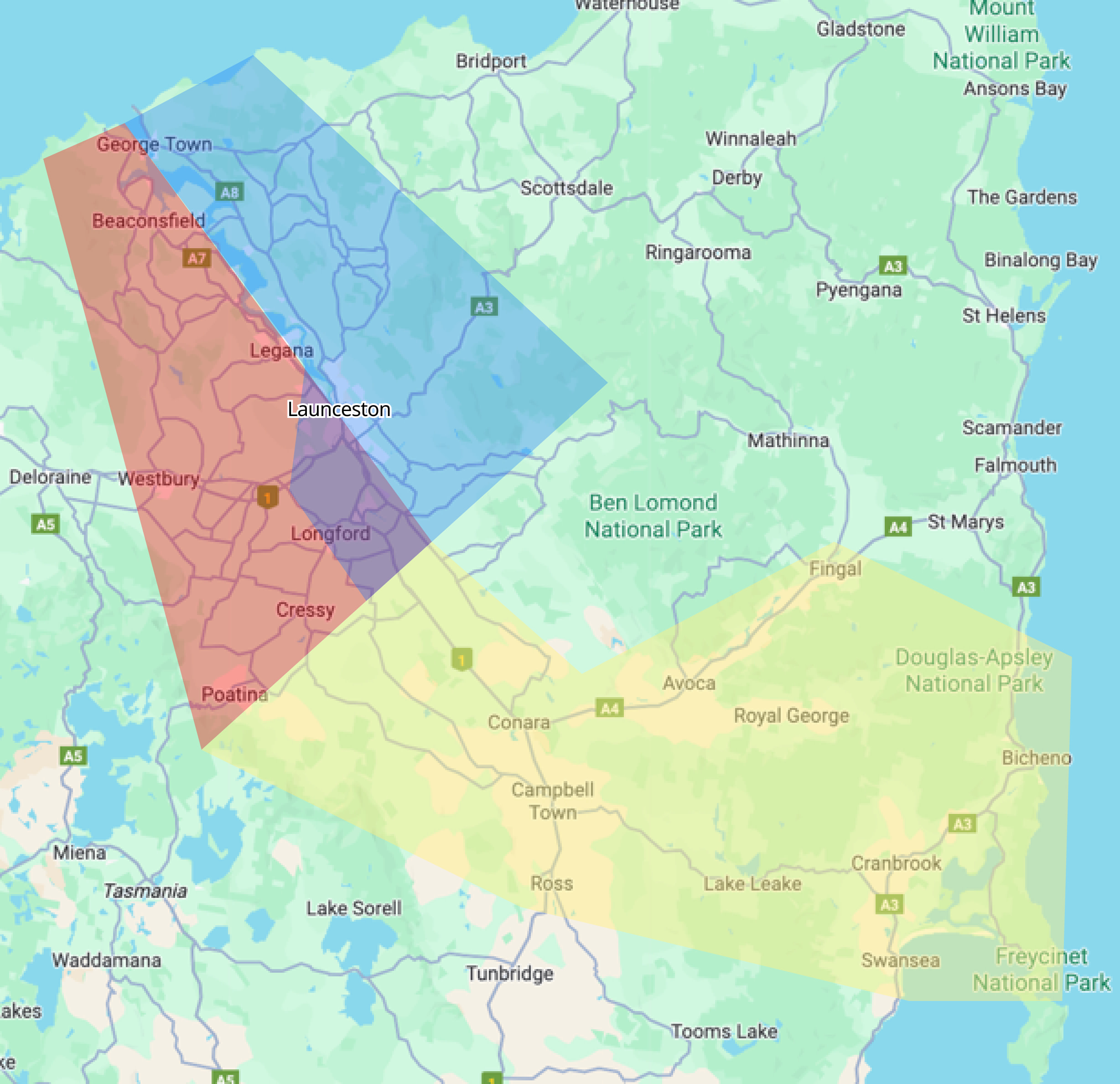 A dog receiving medical treatment at home in tasmania