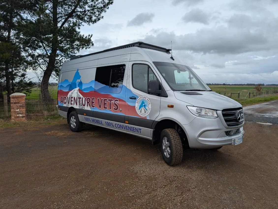 The Adventure Vets mobile clinic van parked on a country road in northern Tasmania