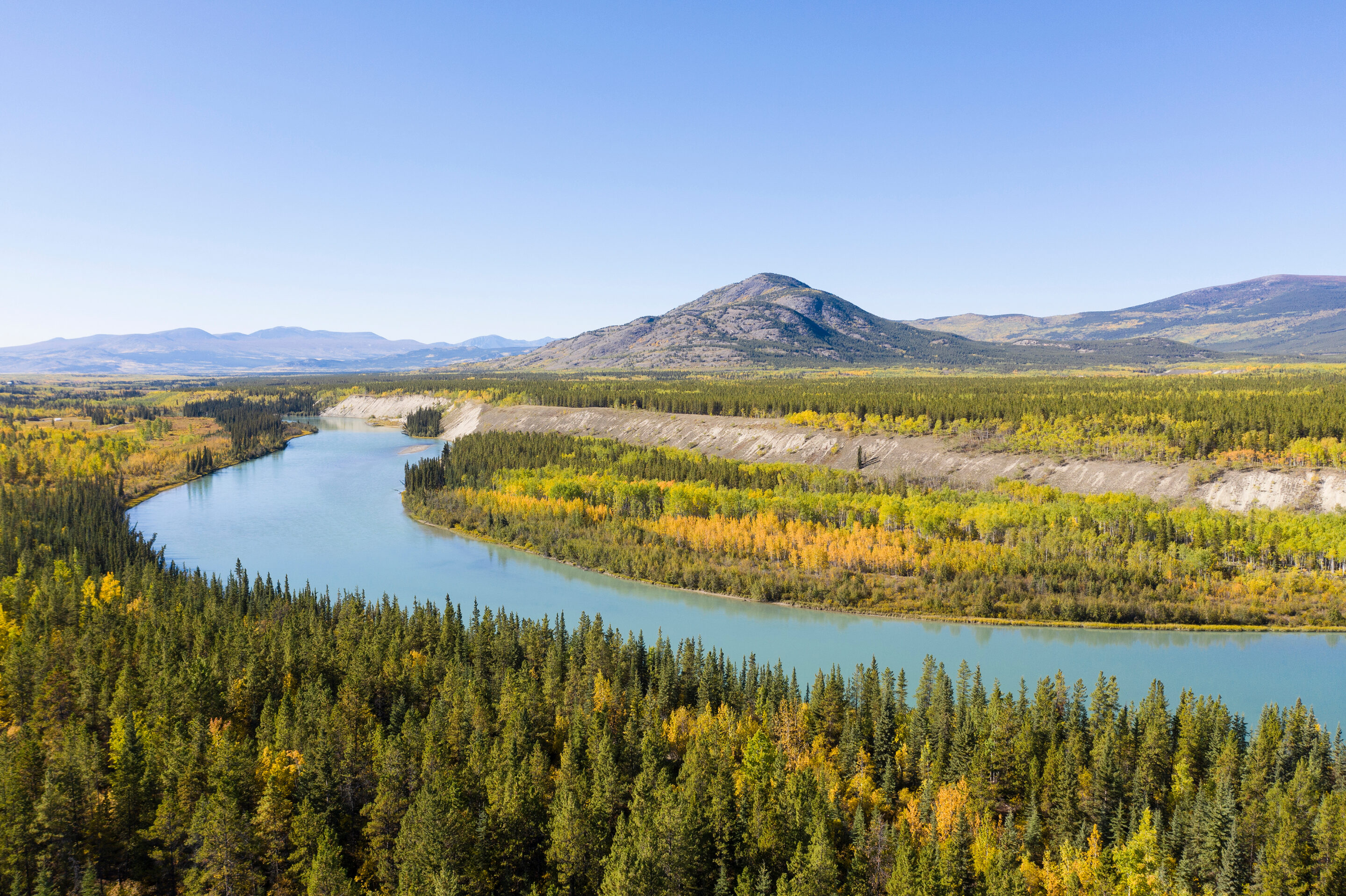 Wide river winding through dense green and yellow forest with mountains in the background under a clear blue sky.