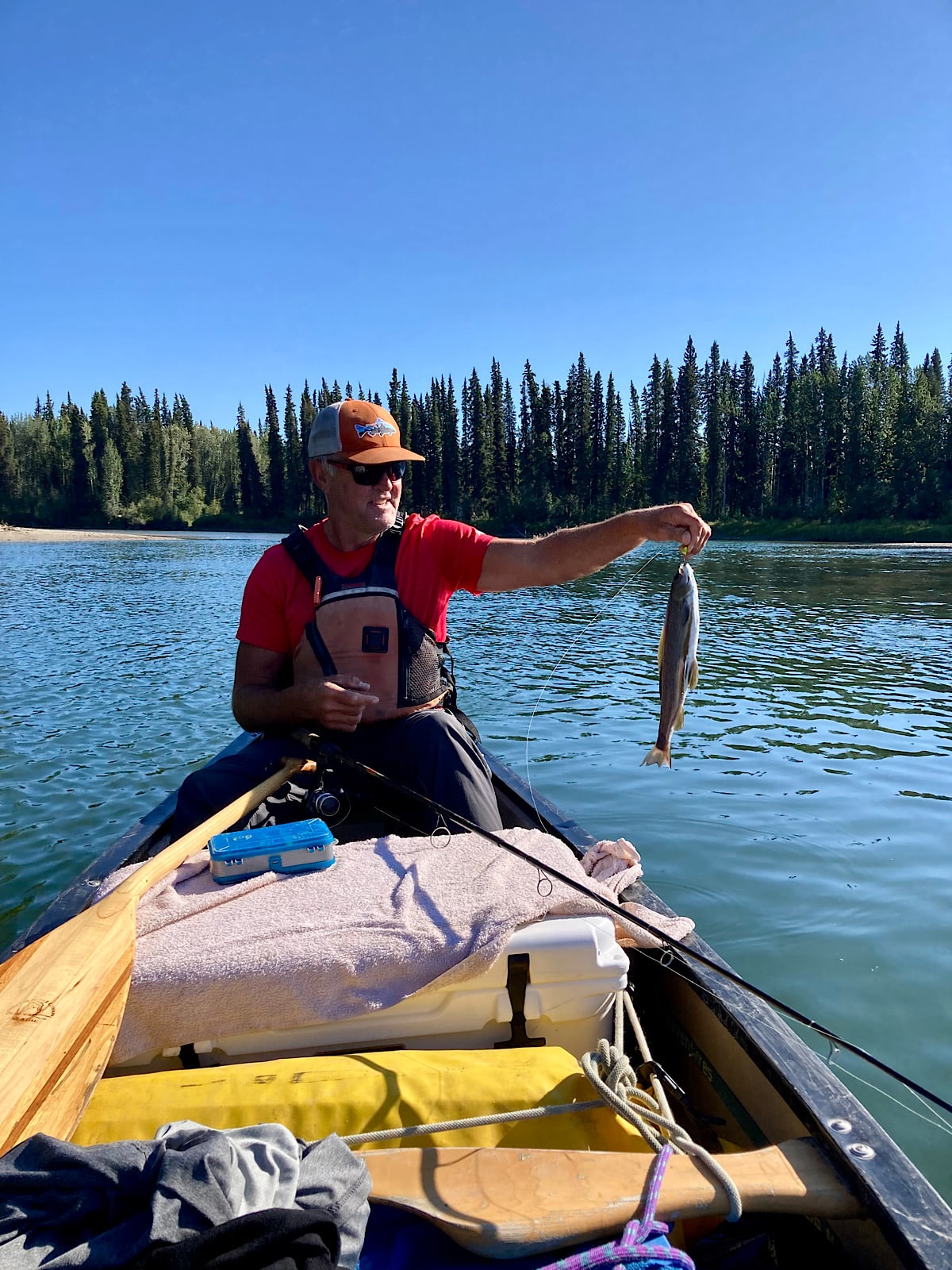 Man in a canoe holding a freshly caught fish on a calm lake surrounded by pine trees under blue sky.