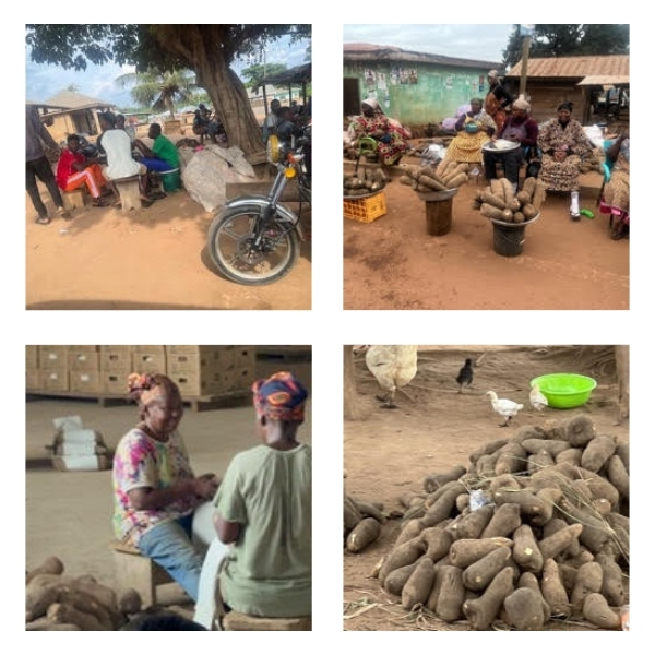 Pictures of visits to Ghana showing locals and yams.