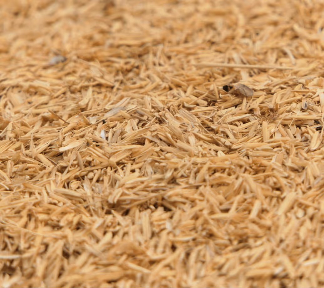 Image of Wheat Bran