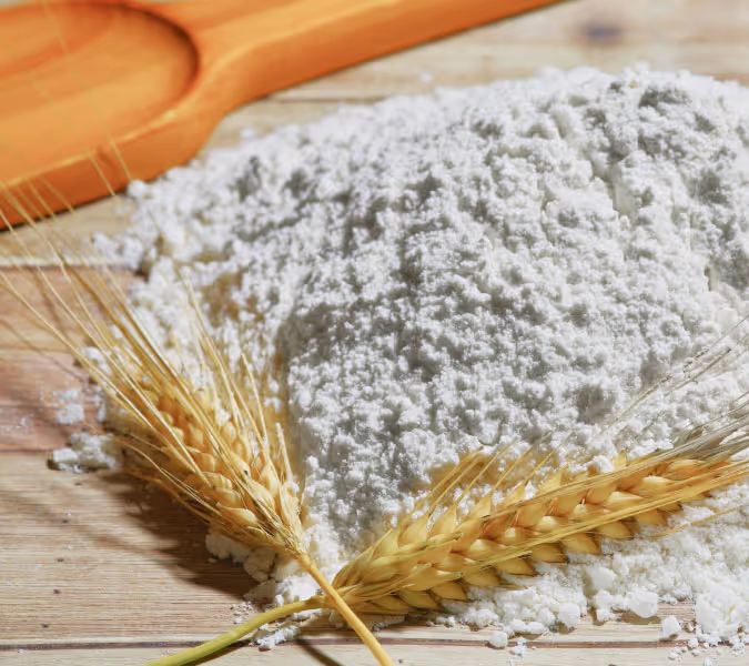 Wheat Flour