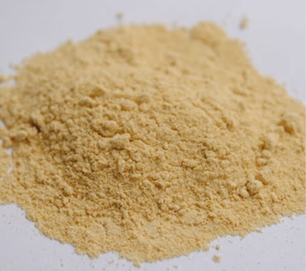 Garlic Powder