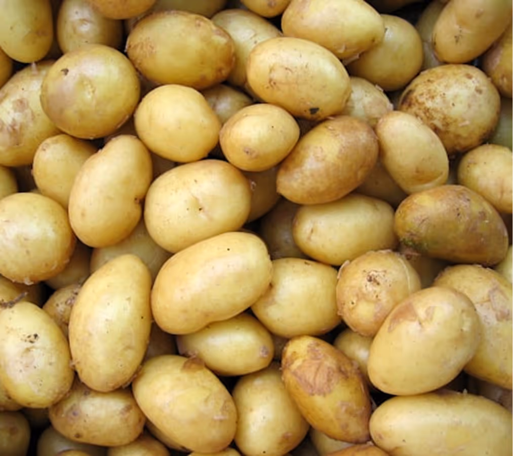 Fresh Potatoes