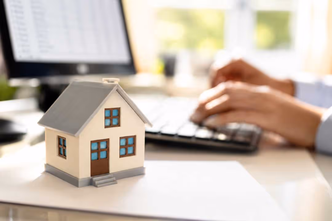 Full management of your HMRC disclosure