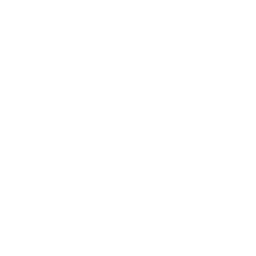 Logo Bynyx Blanc
