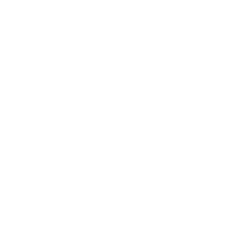 Logo Bynyx