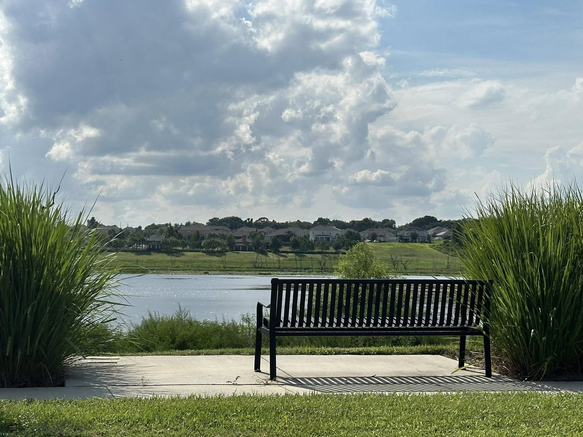Bench by lake