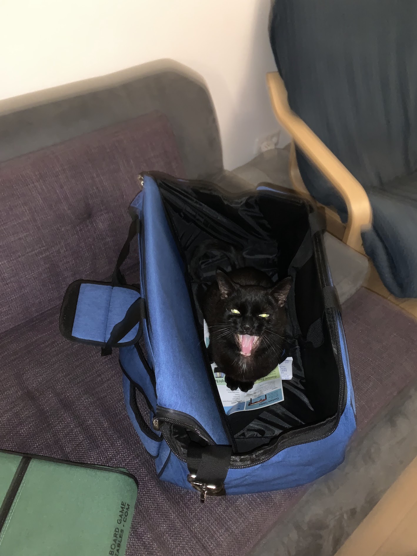 image of mobile gaming trends