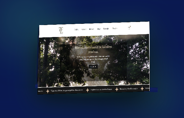 Desiner template image