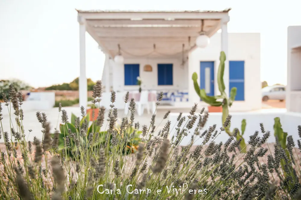 Jardín mediterráneo autóctono con plantas de lavanda y aromáticas rodeando la terraza.