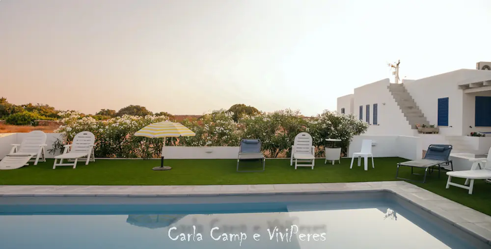 Zona de solárium con tumbonas alineadas frente a la piscina para tomar el sol.