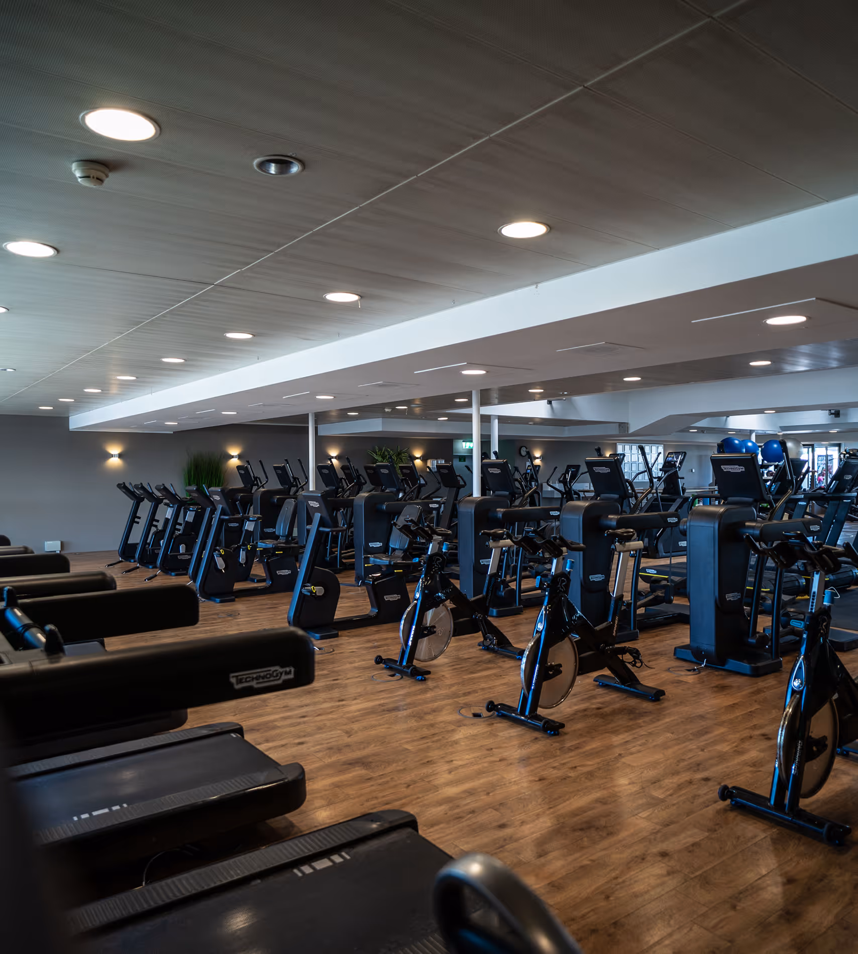 Ein modernes Fitnessstudio von Holmes Place mit Reihen von Laufbändern und Heimtrainern.