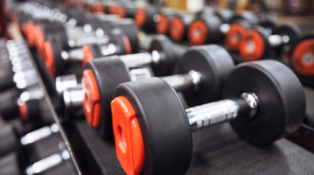 Row of black dumbbells with orange weight plates on a gym rack.
