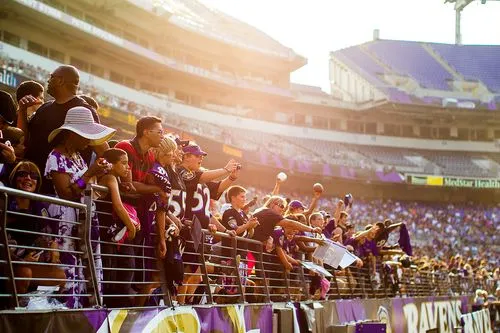 Ravens fans cheering in stadium, sunlight illuminating packed stands