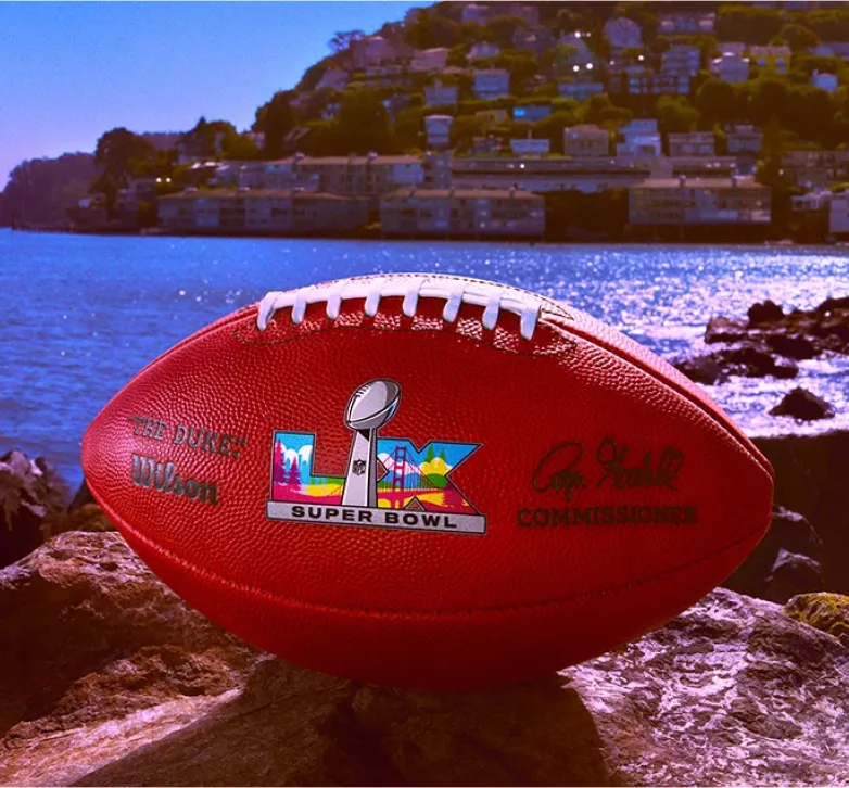 Super Bowl XL