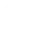 All In Training