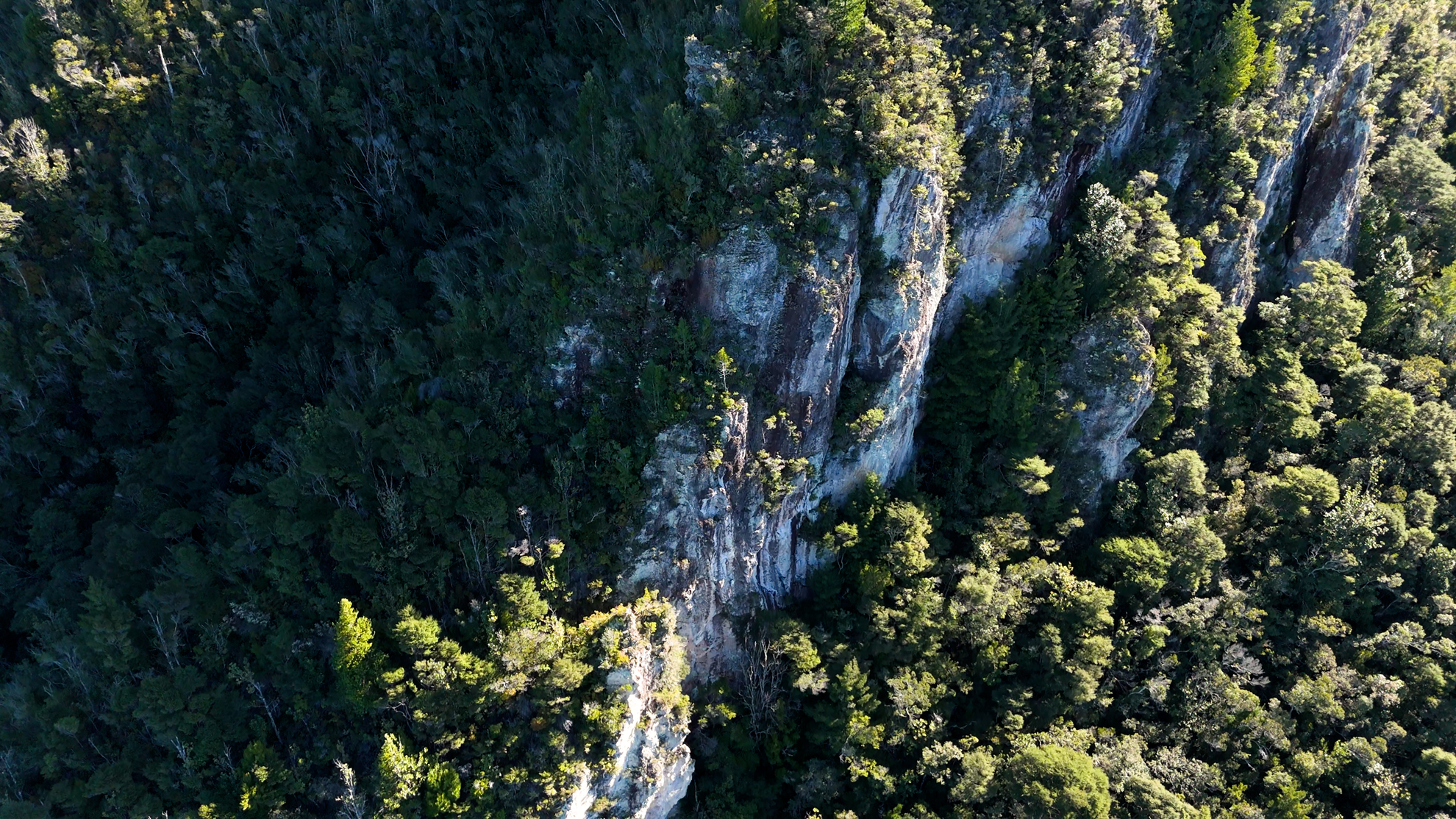 New Zealand landscape