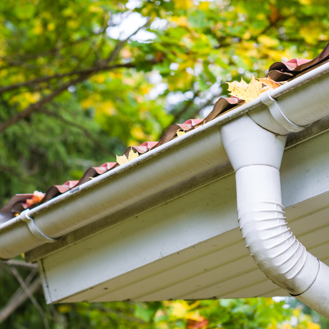 Dirty Gutters with Leaves