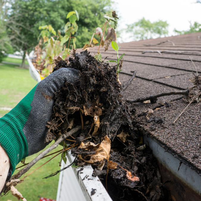 dirty gutter cleaning