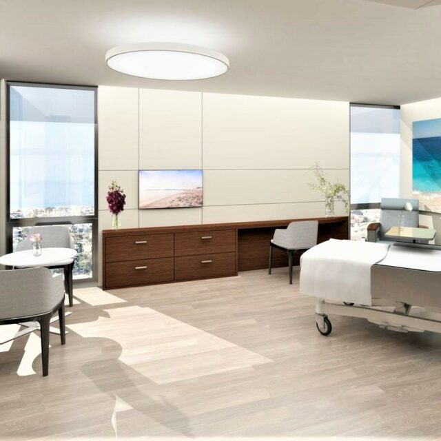Private hospital patient room with bed, seating, and large windows