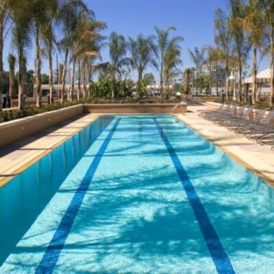 Outdoor swimming pool lined with palm trees and lounge chairs under a clear blue sky.
