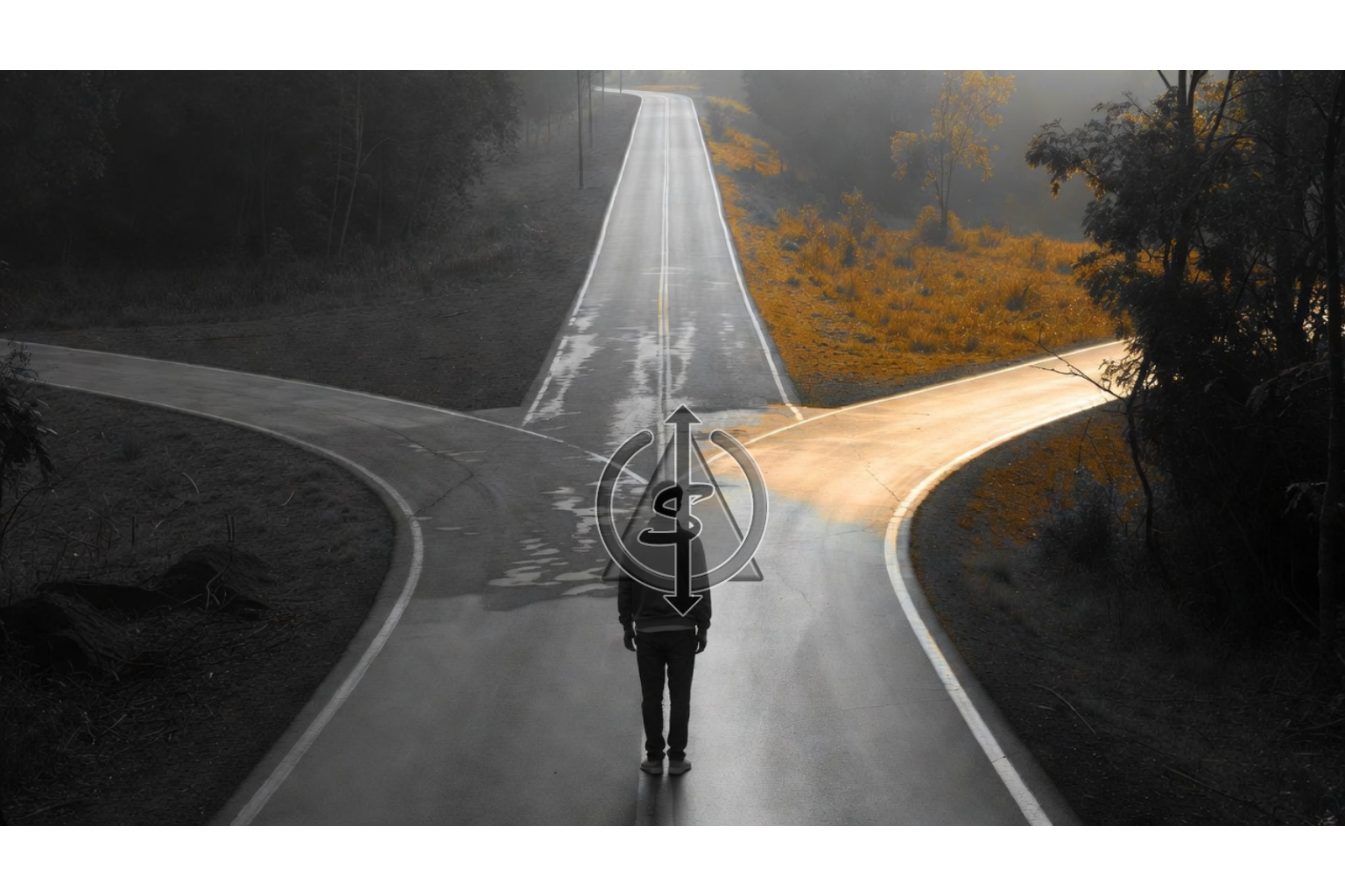 Black and white image of person at fork in road turning toward gold accented path, symbolizing changing your mind after new information and choosing a better direction.