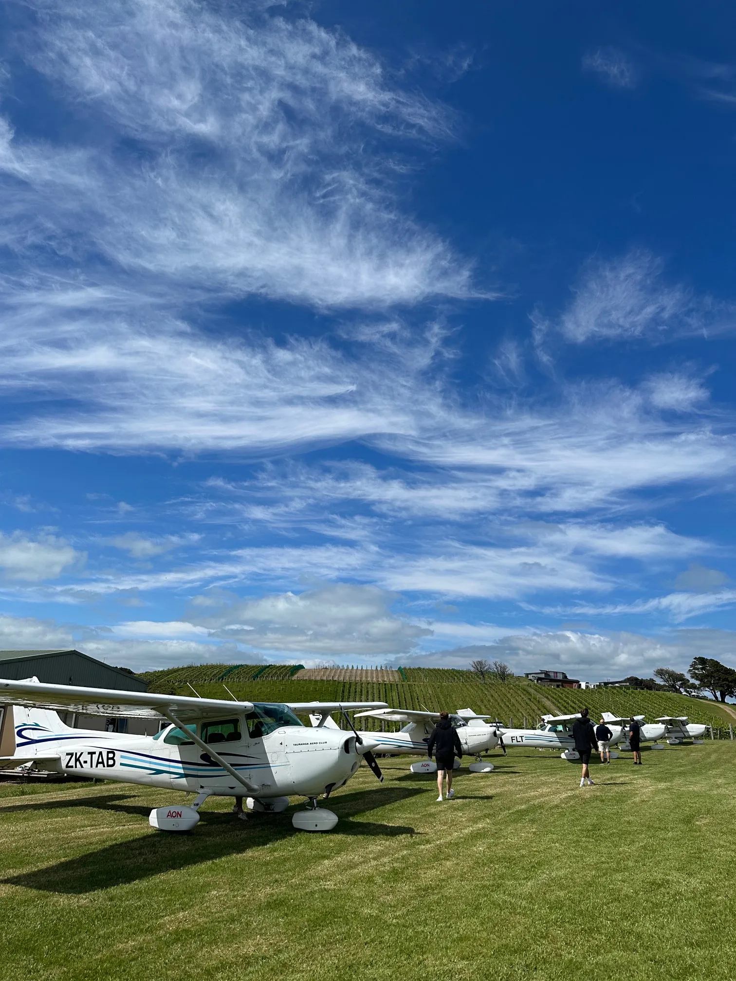 Row of small white airplanes parked on grass with people walking nearby under a blue sky with wispy clouds.