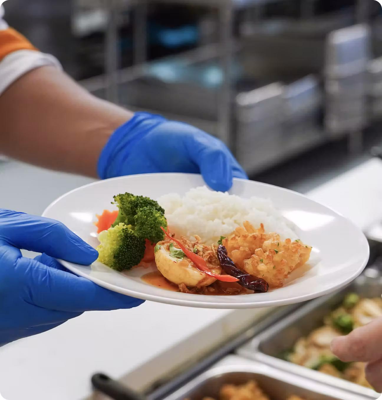 Hands in blue gloves holding a plate with rice, broccoli, fried potato, and chicken with chili peppers.