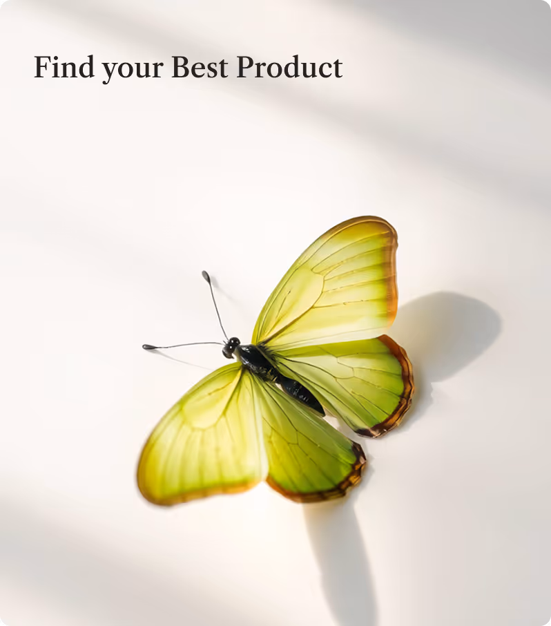 Green butterfly with brown wing edges resting on a white surface casting a shadow.